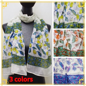 Stole Design Cotton [2025 NEW]