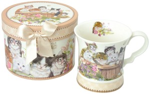 茶杯 礼盒 猫
