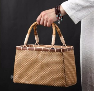 Handbag Ladies fashion