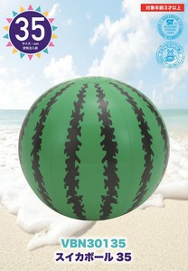 Swimming Ring/Beach Ball Watermelon Compact 35cm