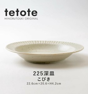 Main Plate