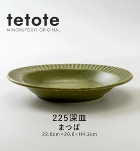 Main Plate