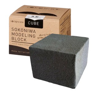 ソコニワ　モデリングブロック