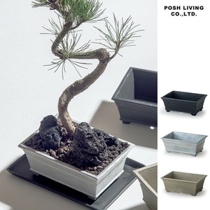 Pot/Planter