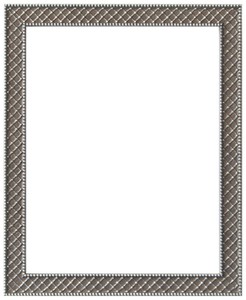 ラーソン・ジュール 額縁 アレグラII 四切(内寸424x348mm) シルバー LJC-22671404