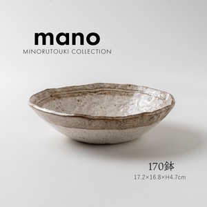 Mino ware Main Dish Bowl Made in Japan