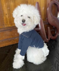 【2025春夏新作】NスウェットハーフZIP（犬服）