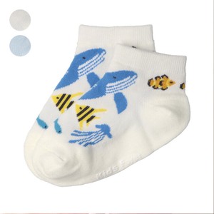 Babies Socks Ankle Socks Socks