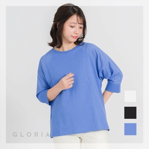 T-shirt Sleeve Embroidered Raglan pullover