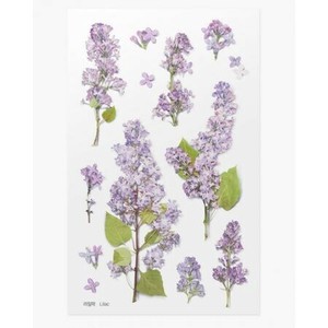【Pressed Flower Stickers Lilac】ステッカー　押し花　韓国　雑貨　お花　文具　手帳