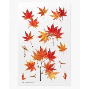 【Pressed Flower Stickers Palmate maple】  ステッカー　押し花　韓国　 雑貨 　お花　 文具　手帳