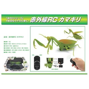 Remote Control Car