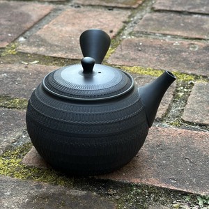 Tokoname ware Japanese Teapot Tea Pot Made in Japan