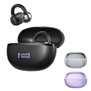 Earphones