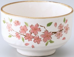 Japanese Teacup Gift Matcha Bowl