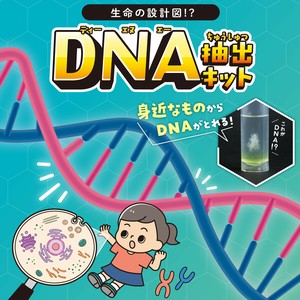 生命の設計図！？DNA抽出キット