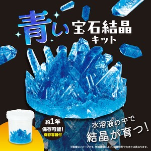 实验/工作包