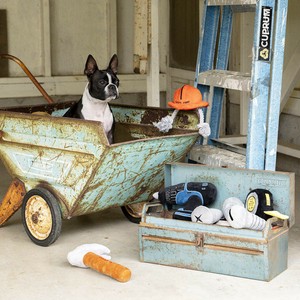 犬用玩具 玩具 DULTON