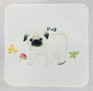 Gauze Handkerchief Pug Dog