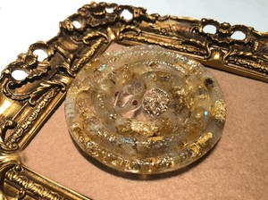 びっくん　天然石（ルチルクォーツ）と本物の白蛇の抜け殻、金箔入りの蛇の置物（レジン製）