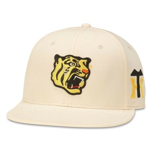 AMERICAN NEEDLE Blockhead 2.0 Hat