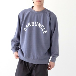 【ユニセックス】ヴィンテージ加工裏毛 - ラグランプリントスウェット"CARBUNCLE"