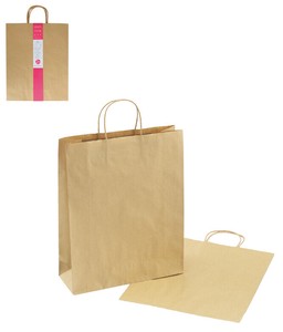 ペーパーバッグLL　2枚　クラフト無地【31832】【100均/100円均一/100円ショップ】
