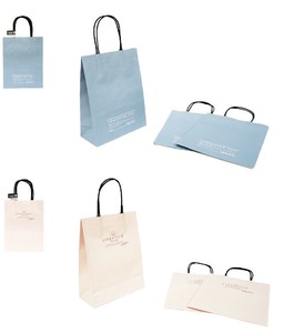 General Carrier Paper Bag