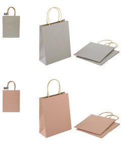 General Carrier Paper Bag