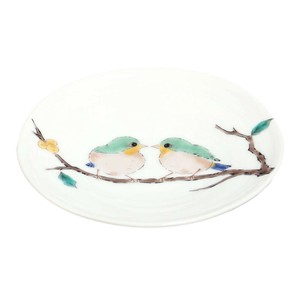 Kutani ware Seikou-kiln Small Plate Made in Japan 1-sets 3-go 10-pcs Made in Japan