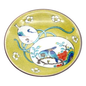 青郊窑 九谷烧 大餐盘/中餐盘 日本制造 4号 1组 10件 日本制造