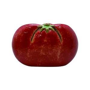 杀虫/防虫产品 西红柿/番茄