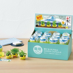 【聖新陶芸】育てるカプセルゆ桶でハーブ栽培　4品種アソート