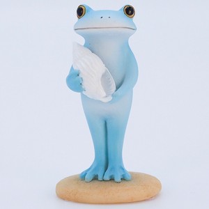 【6月入荷予定】コポー  貝殻を持つ海カエル