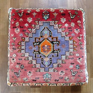 玄关地垫 抱枕 55 x 56cm