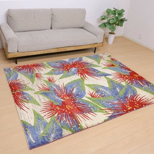 Door Mat 201 x 150cm 190cm
