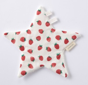Educational Toy Strawberry Fruits