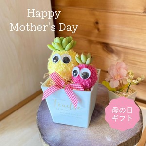 多肉植物　アートミズゴケ　インテリアプランツ　モスビー　プレゼント　癒し　母の日　アニマル　動物
