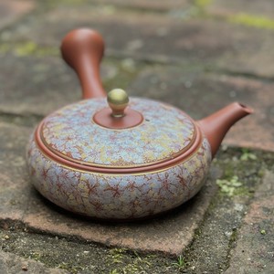Tokoname ware Japanese Teapot Tea Pot Made in Japan
