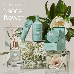 【Maine Beach】Flannel Flower フランネルフラワー ボディケア/スキンケア/バスソルト/アロマ