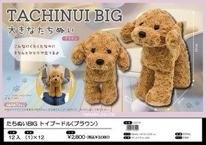 たちぬい(トイプードル)【犬/BIGぬいぐるみ】
