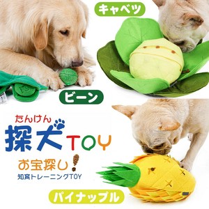 Dog Toy Pineapple Dog Toy