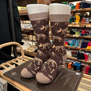 Crew Socks Dinosaur Socks