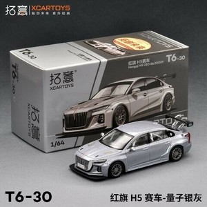 Model Car Gray