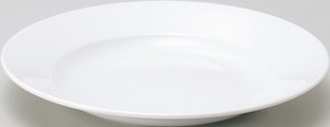 美浓烧 大餐盘/中餐盘 精致优雅 餐具 白色 28cm 日本制造