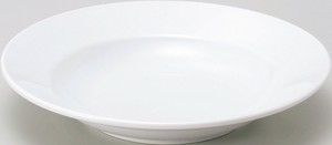 美浓烧 大餐盘/中餐盘 精致优雅 餐具 白色 25cm 日本制造