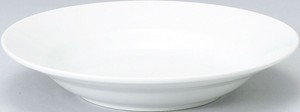 美浓烧 大餐盘/中餐盘 精致优雅 餐具 白色 23cm 日本制造