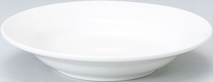 Mino ware Main Plate 21cm Made in Japan