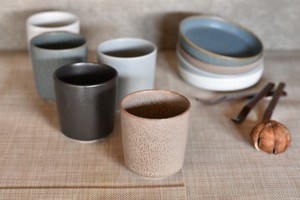 Mino ware Japanese Teacup Japanese Tableware Made in Japan
