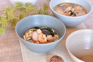 Mino ware Donburi Bowl Western Tableware Made in Japan